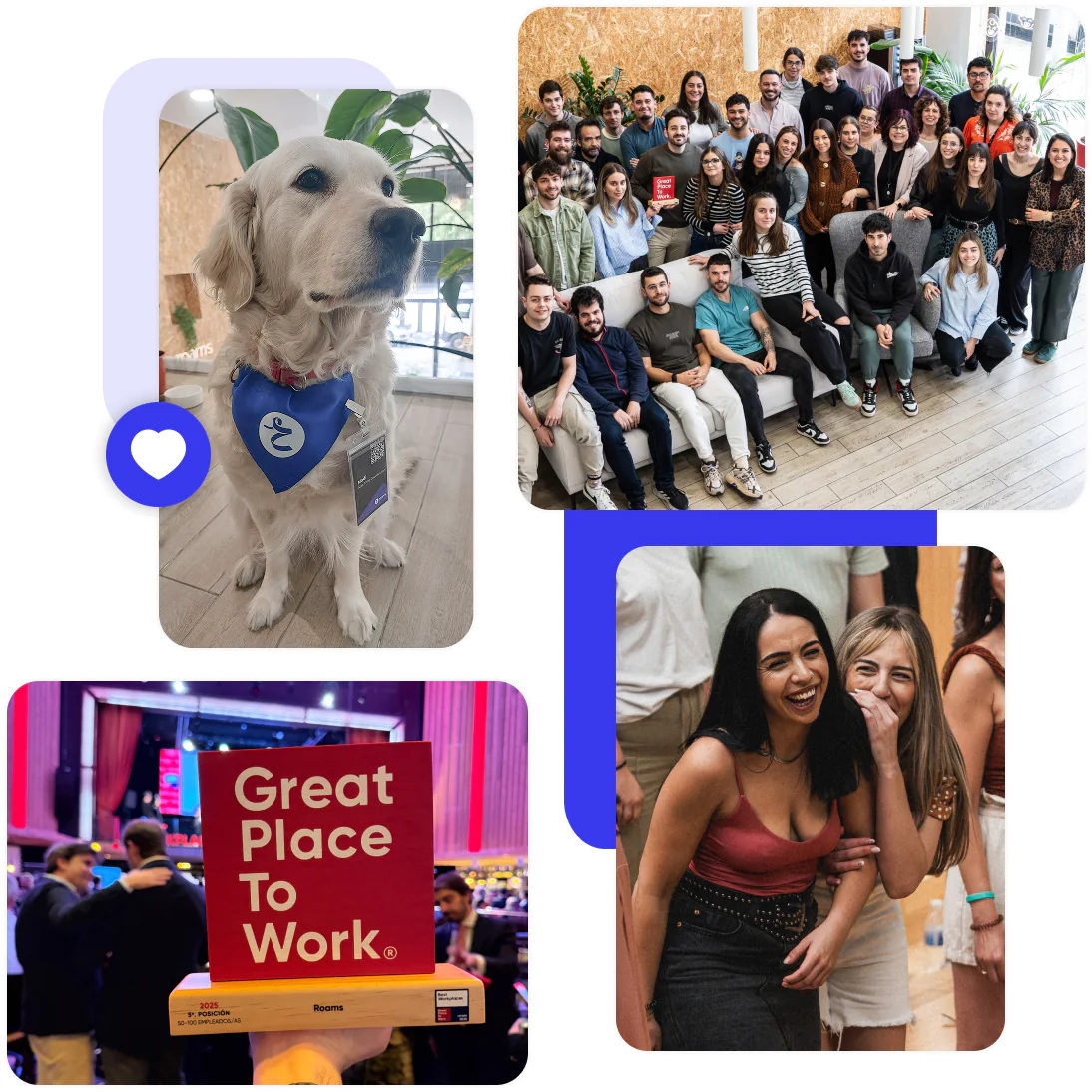 Collage de un perro golden con pañuelo de Roams, foto de grupo de la plantilla, cartel de Great Place to Work y dos compañeras riendo.