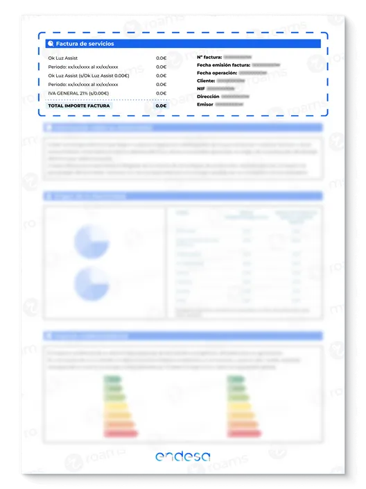 Factura de Endesa creada por Roams en la que se destaca la facturación de servicios extra.