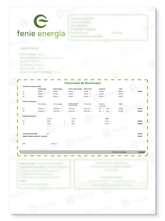 Detalle de facturación del recibo de luz de Feníe Energía.