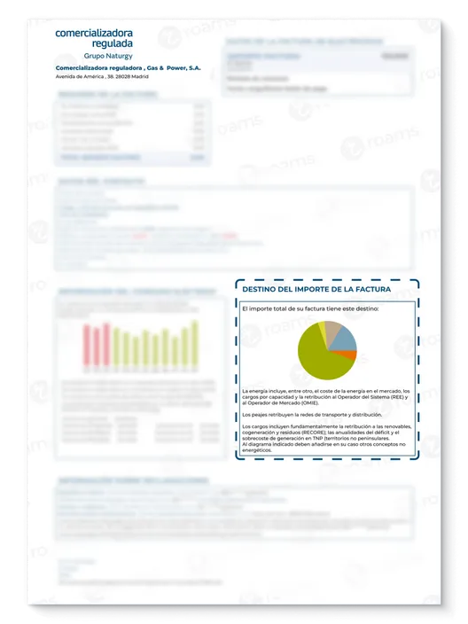 Apartado de la factura de la luz de Gas & Power con datos sobre cada concepto pagado en la factura.