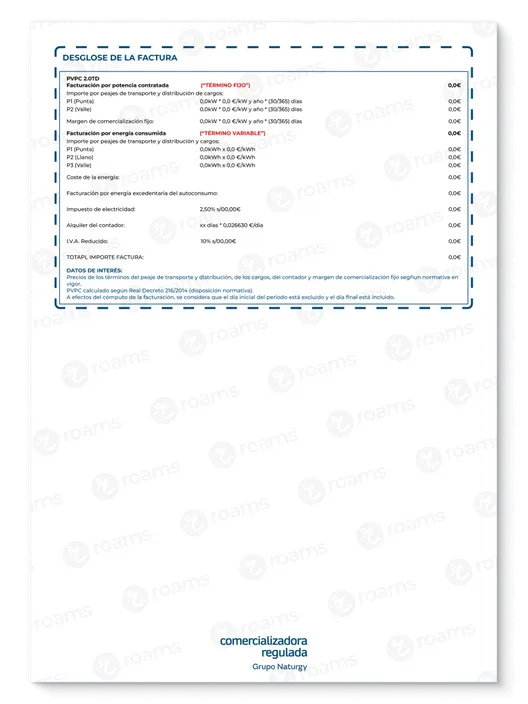 Detalle de la factura de Gas & Power con información detallada de la energía consumida, la potencia y todos los conceptos cobrados.