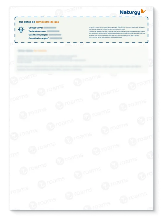 Detalle de la factura de gas de Naturgy donde puedes consultar tu peaje de acceso.