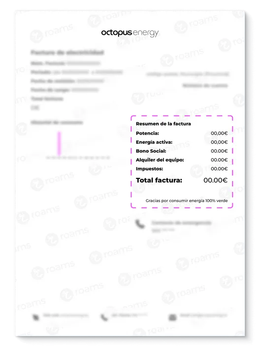 Detalle de la factura de luz de Octopus Energy con el importe de cada uno de los conceptos cobrados.