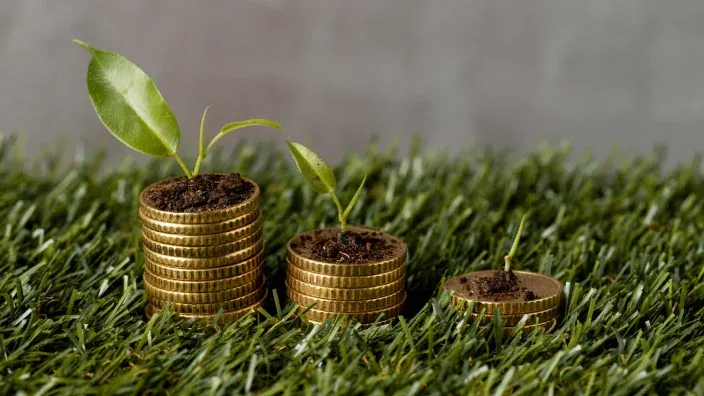 Plantas creciendo sobre pilas de monedas para representar el crecimiento financiero y rentabilidad de los ahorros.