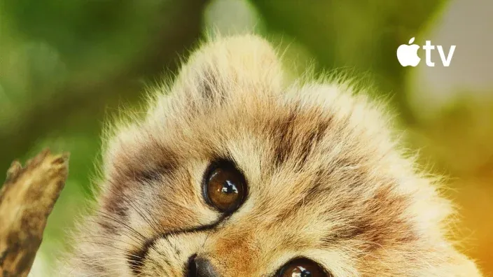 Primer plano de cachorro de guepardo en documental de naturaleza disponible en Apple TV.