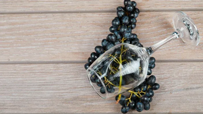 Copa de vino vacía sobre uvas tintas, simbolizando el origen y la elaboración del vino.