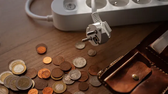 Un ladrón de enchufes junto a monedas de euro y una cartera de cuero.