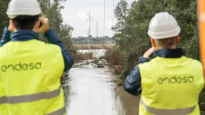 Dos trabajadores de Endesa visitan una zona de la red eléctrica afectada por las fuertes tormentas.