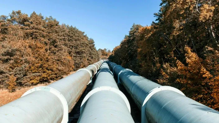 Varios gasoductos atravesando una zona boscosa