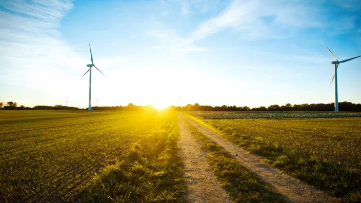 Aerogeneradores en un campo iluminado por el amanecer.