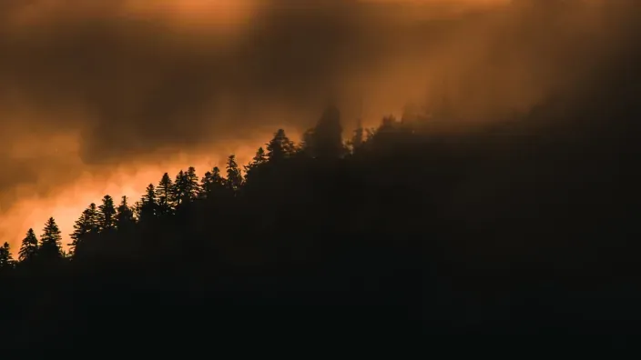 Imagen de un monte qumándose con pinos silueteados y humo en el ambiente.