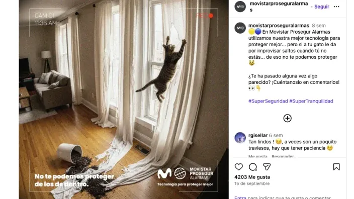 Campaña publicitaria de Movistar Prosegur Alarmas en Instagram, con un gato travieso para comunicar qué protege su alarma.