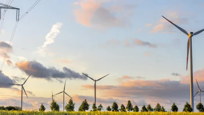 Parque eólico con aerogeneradores al atardecer en un entorno rural, representando la generación de energía renovable a partir del viento.