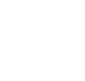 Digi Mobil
