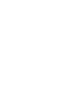 ion Mobile