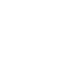 Lowi