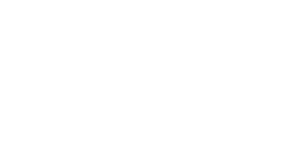 ion Mobile