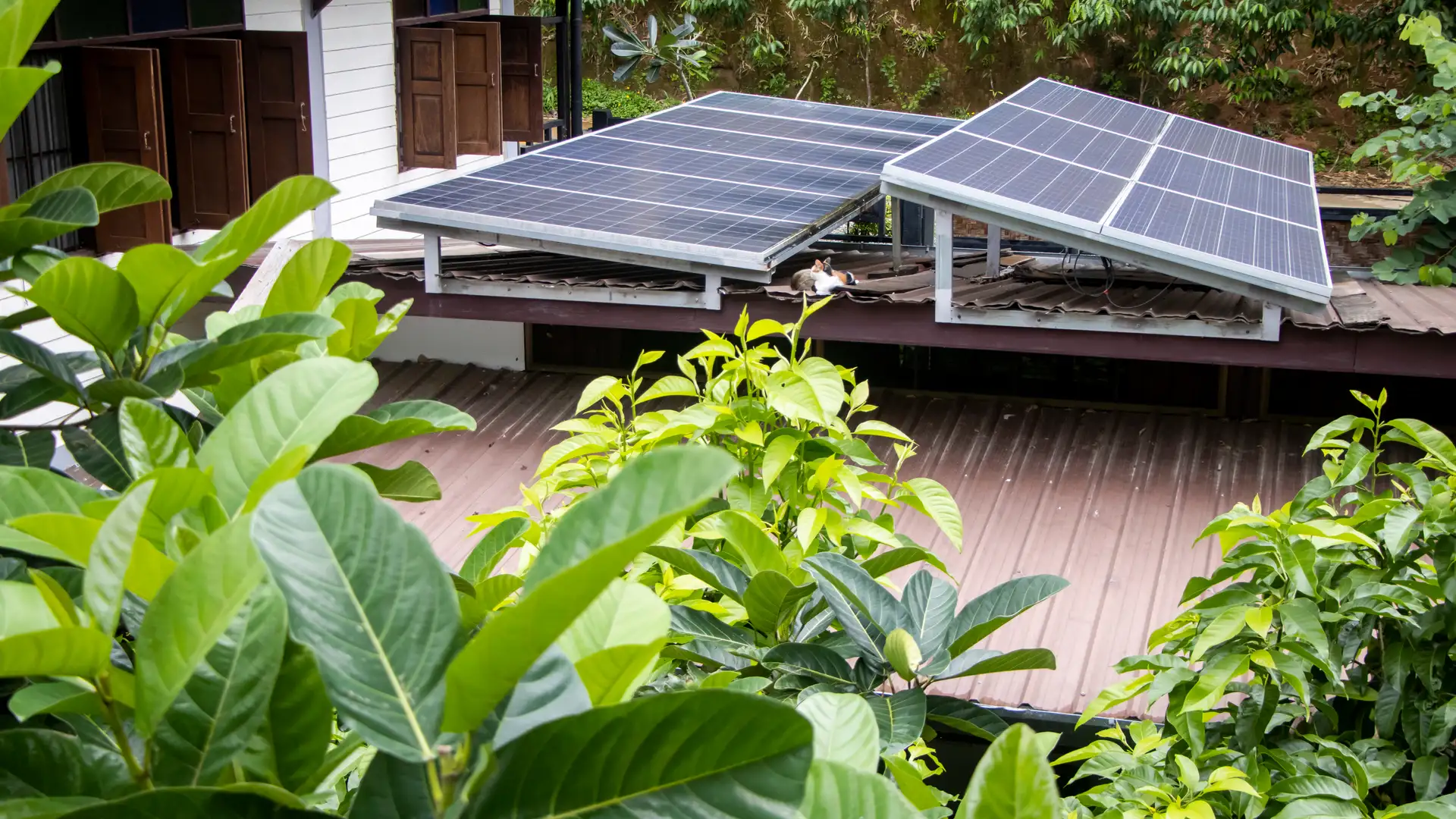 Patio de una casa con placas solares que conocen como funcionan los excedentes de la empresa Iberdrola Energía Solar