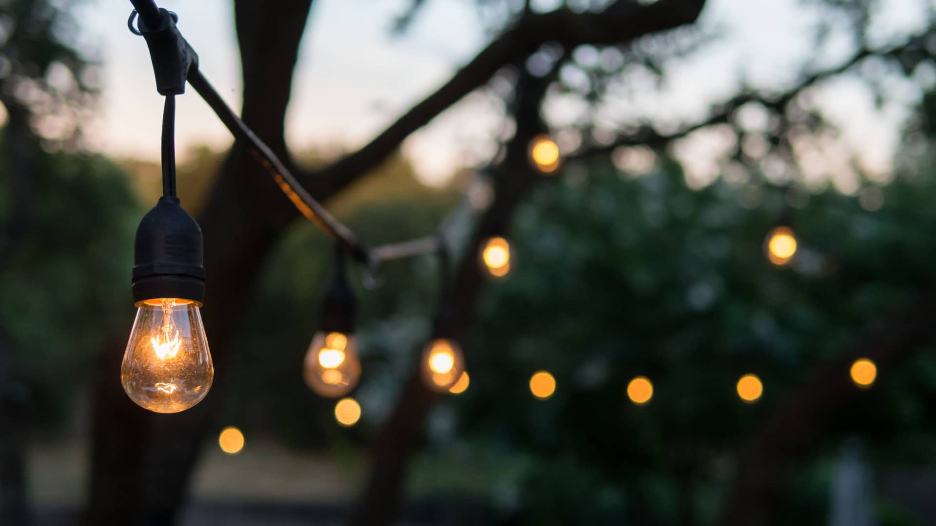 bombillas de tipo antiguo en un jardin que representan las tarifas plana zen de la empresa naturgy