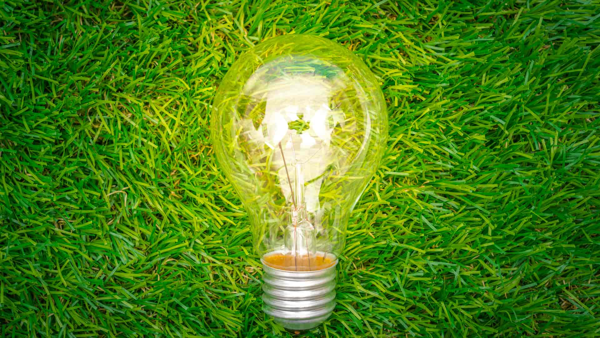Bombilla encendida sobre un fondo de hierba representa las energías renovables o verdes Bombilla encendida sobre un fondo de hierba representa las energías renovables o verdes