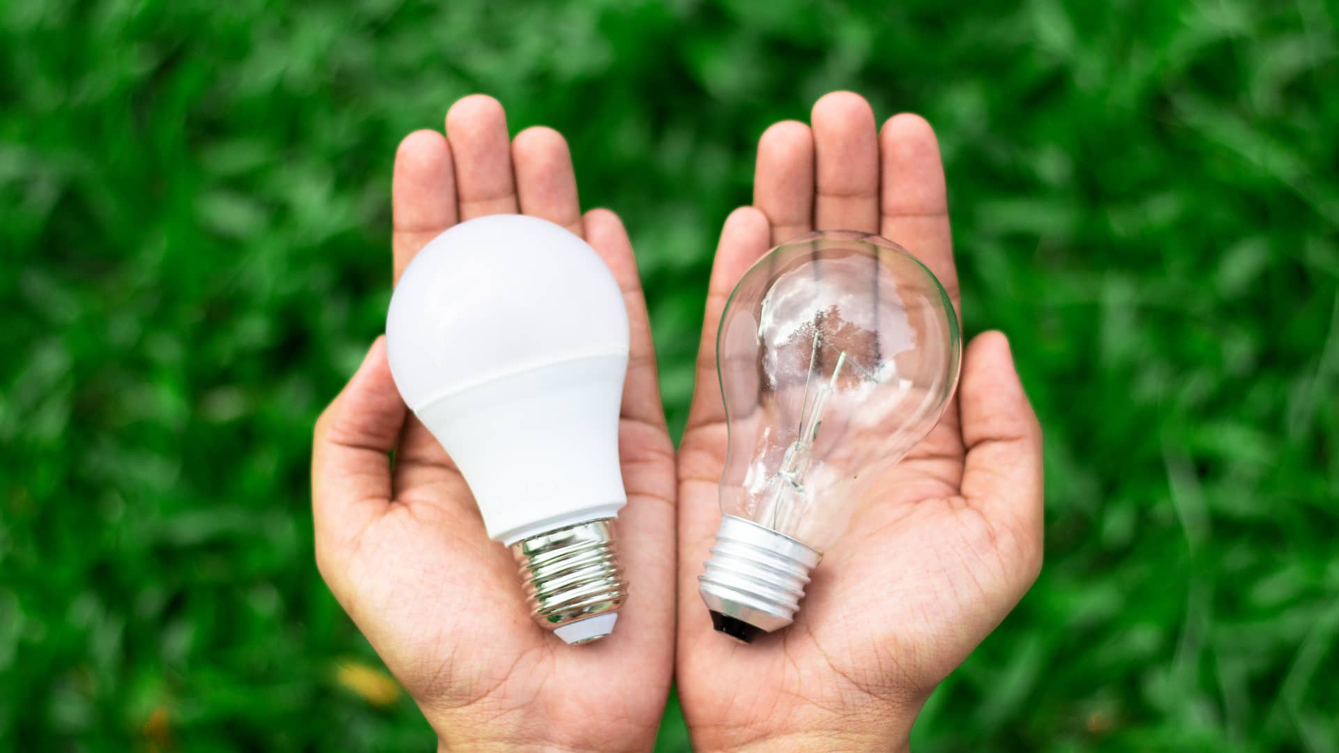 Una persona sujeta una bombilla en cada palma representando las diferencias entre el precio de la luz PVPC o de mercado libre Una persona sujeta una bombilla en cada palma representando las diferencias entre el precio de la luz PVPC o de mercado libre