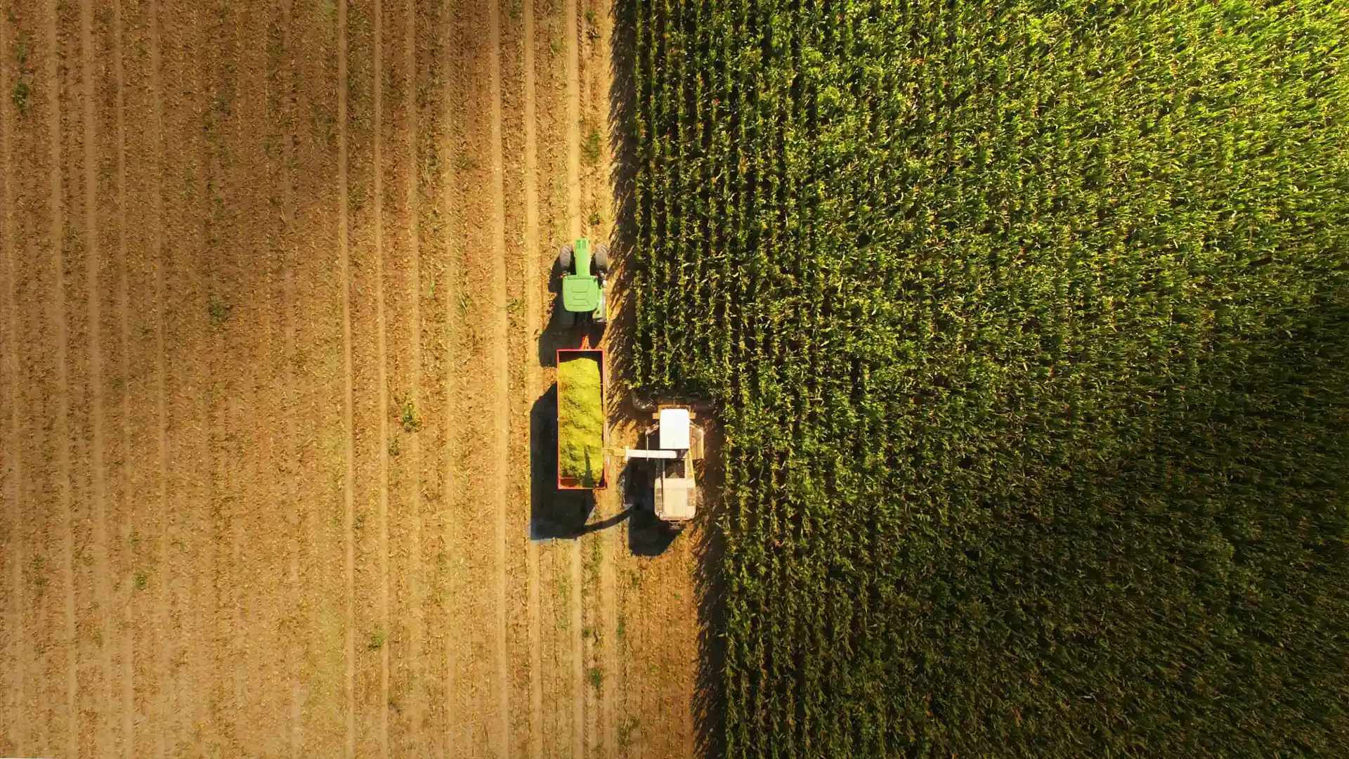 Vista aerea de un tractor trabajando en el campo para representar el como declarar ingresos agrícolas en la declaración de la renta
