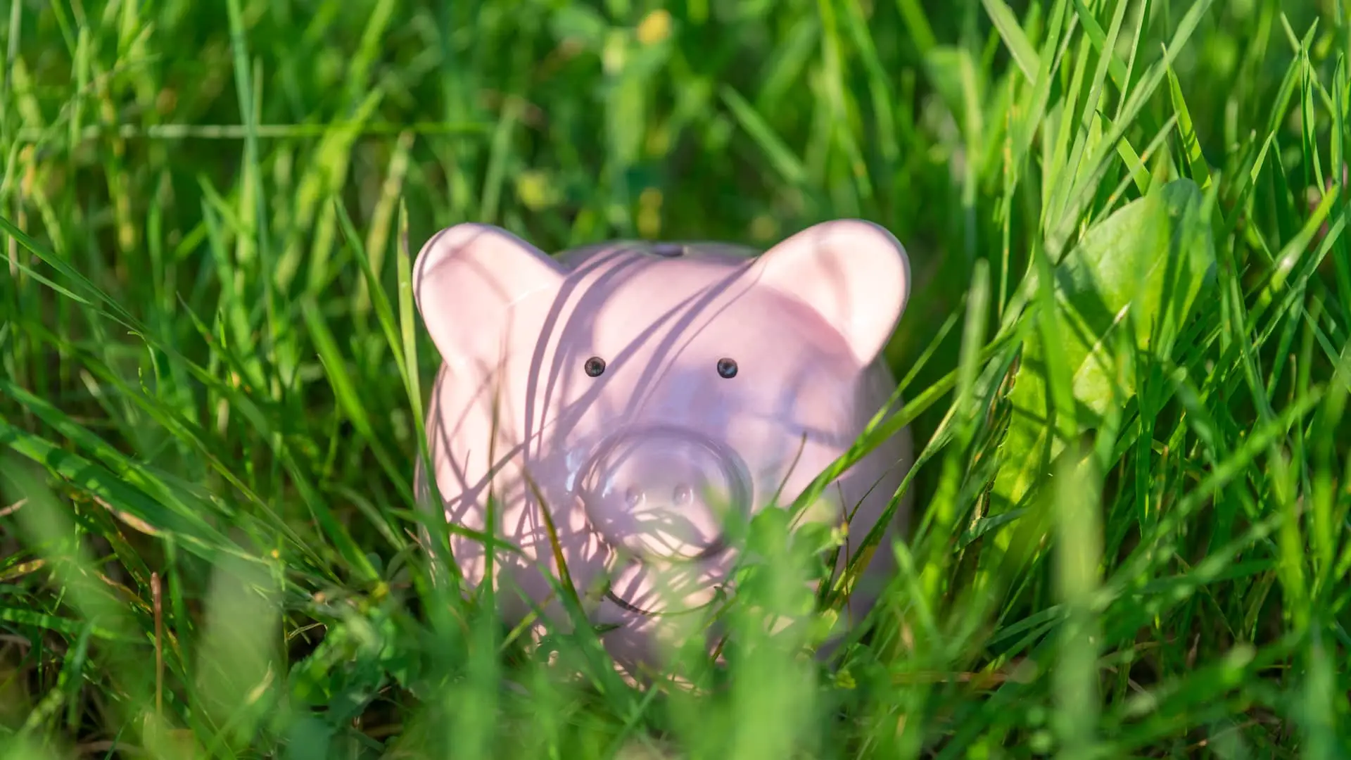Hucha de cerdito simboliza depositos de caixa popular Hucha de cerdito simboliza depositos de caixa popular