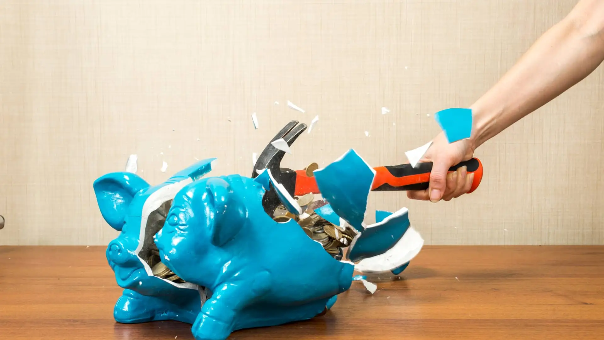 Persona rompiendo hucha para realizar prestamo Persona rompiendo hucha para realizar prestamo