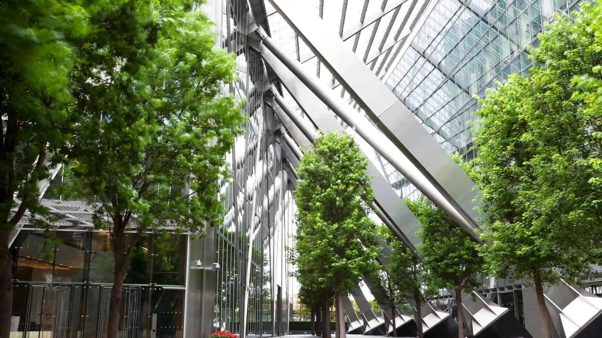 Oficinas en edificio en el que se encuentran empresas trabajadoras con triodos bank