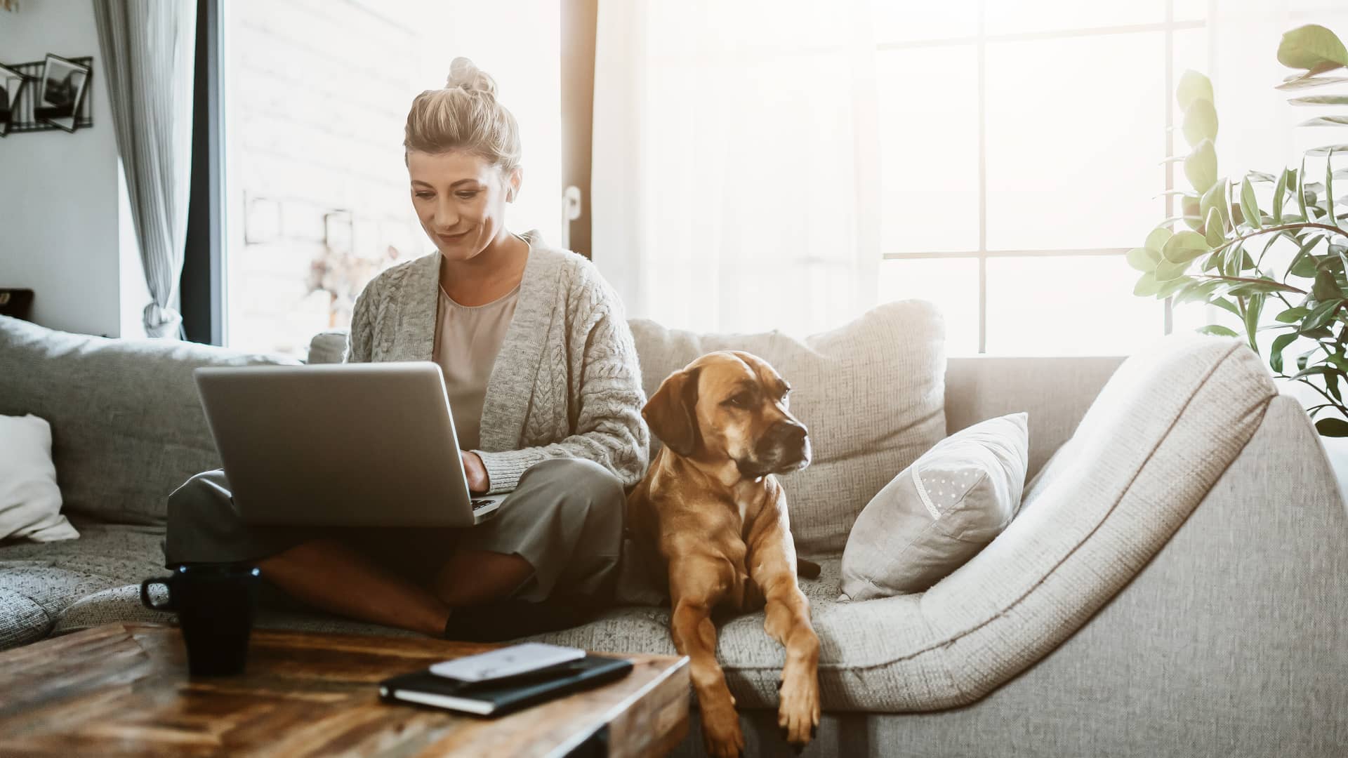 Mujer solicitando desde su portátil recibos antiguos de la hipoteca, mientras su perro le hace compañía en el sofa Mujer solicitando desde su portátil recibos antiguos de la hipoteca, mientras su perro le hace compañía en el sofa