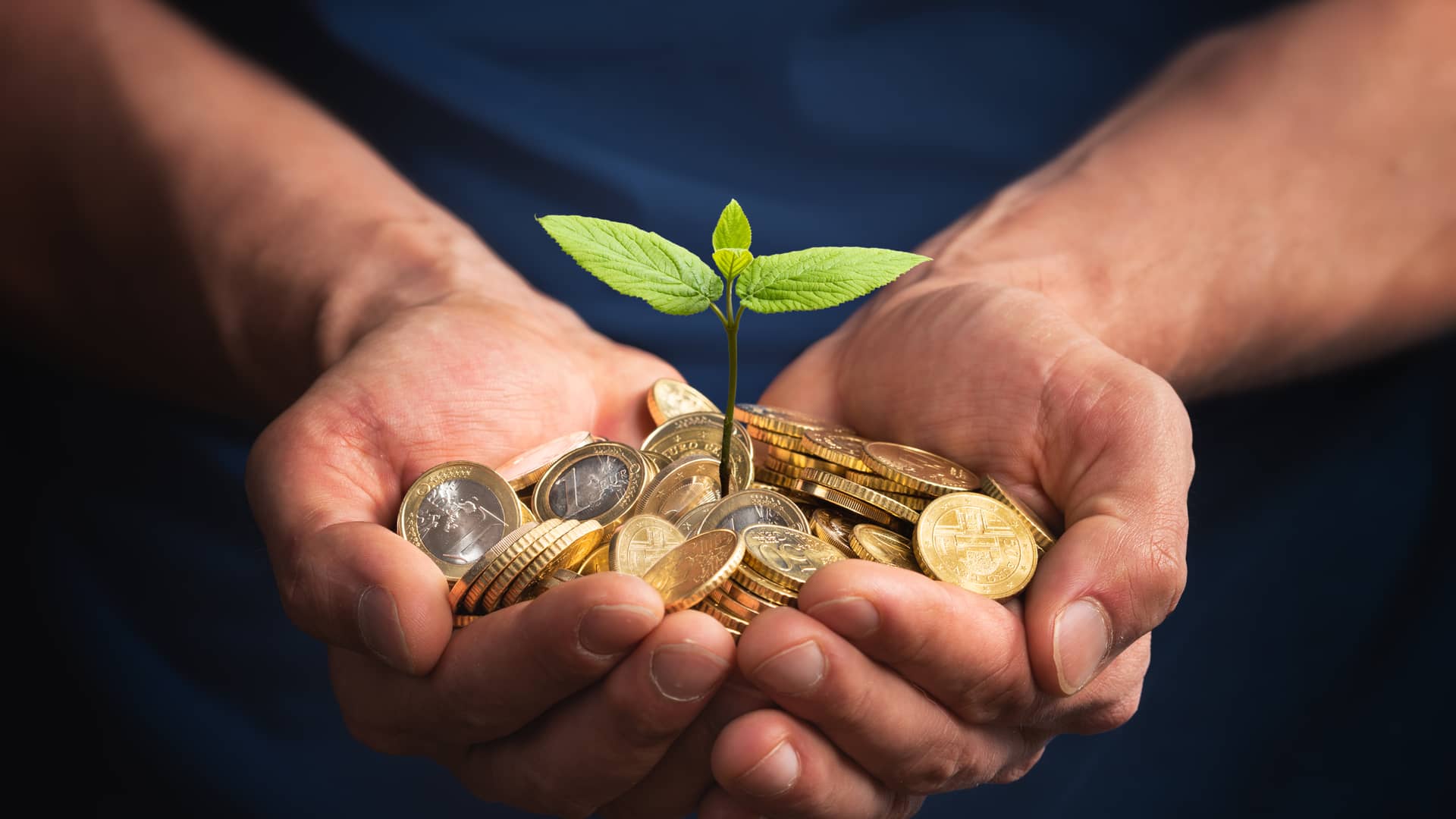 Joven con manos llenas de monedas de las cuales brota una planta como si de el préstamo verde se tratase