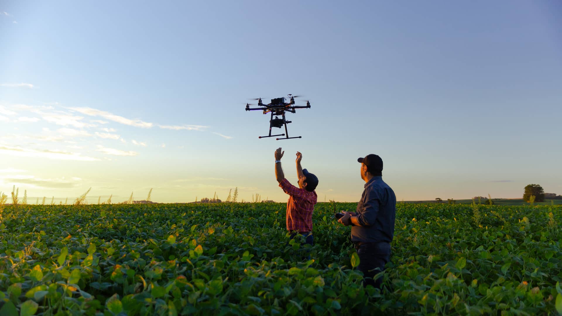 Allianz seguro de dron