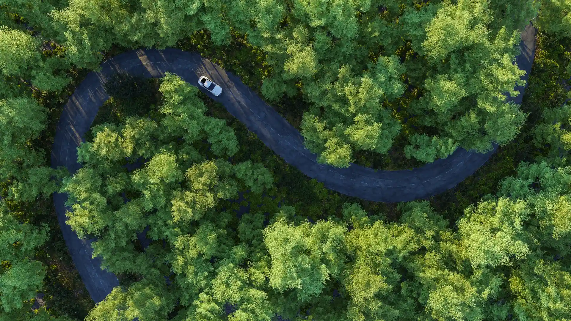 Vista aerea de un coche circulando por un bosque que representa el seguro de coche de AMV
