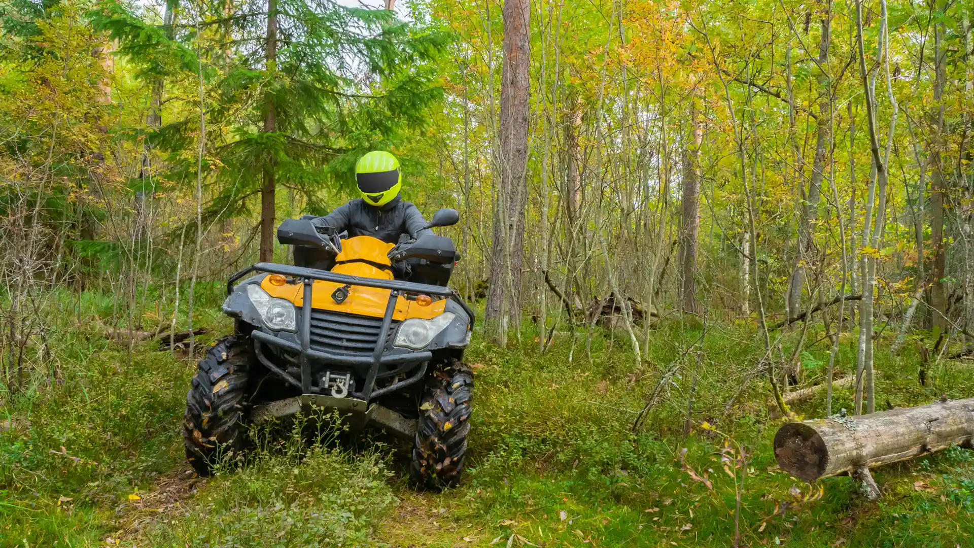 AMV Seguros de quad