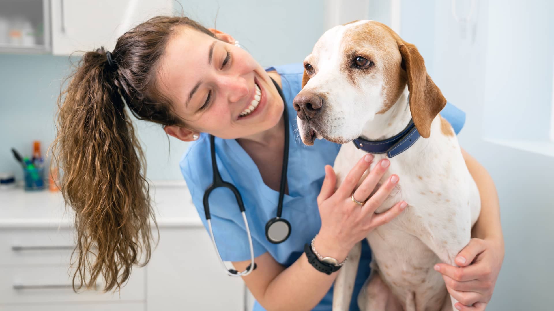 Veterinaria acariciando perro con seguro de mascotas de asisa