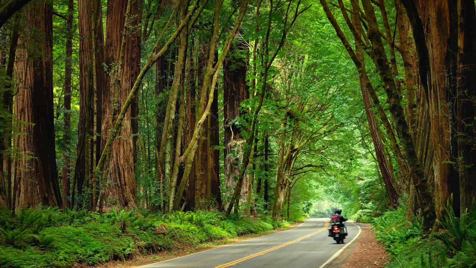 Motorista dando un paseo en moto asegurada con caser Motorista dando un paseo en moto asegurada con caser