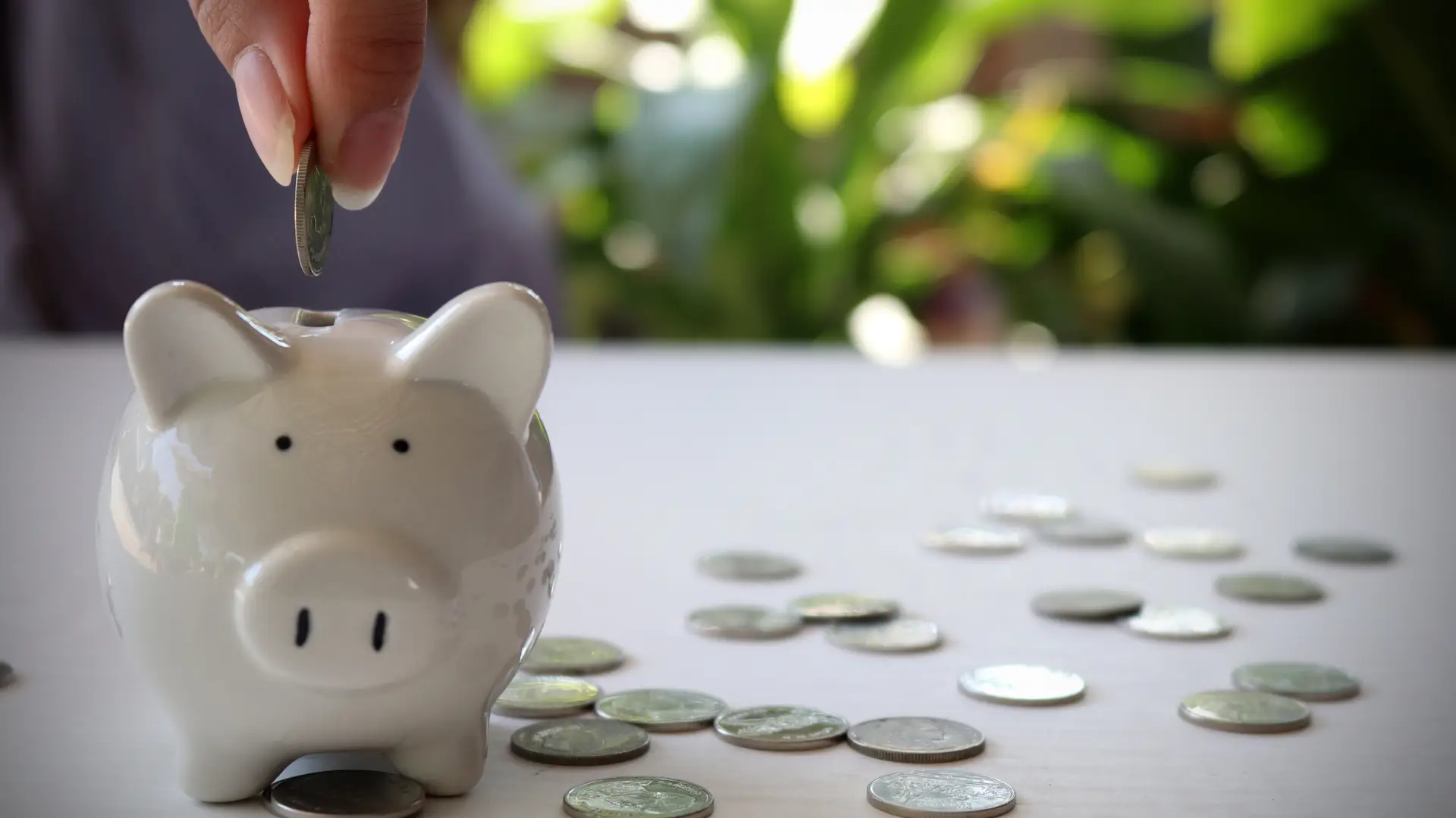 manos de una persona metiendo monedas en una hucha de cerdito que representa el seguro de ahorro de divina pastora manos de una persona metiendo monedas en una hucha de cerdito que representa el seguro de ahorro de divina pastora