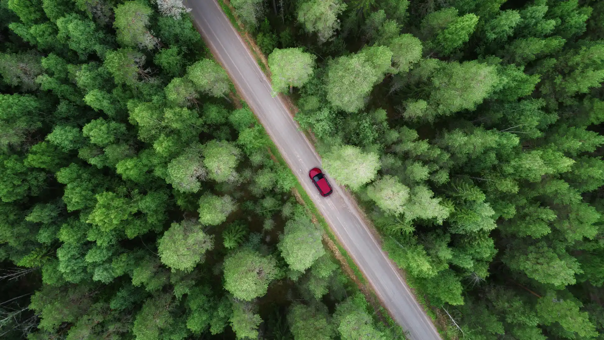 Un automovil circulando por una carretera en mitad del bosque que tiene un seguro de coche de DKV Seguros