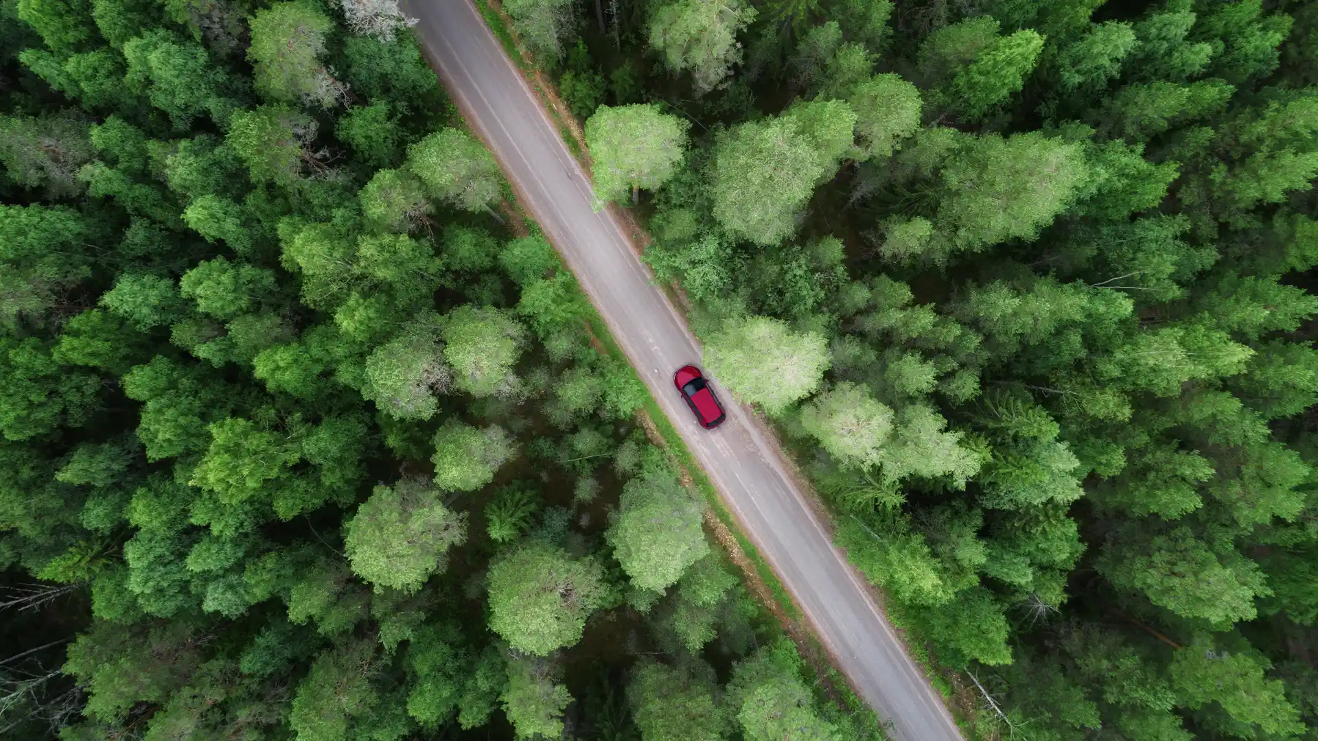Un automovil circulando por una carretera en mitad del bosque que tiene un seguro de coche de DKV Seguros Un automovil circulando por una carretera en mitad del bosque que tiene un seguro de coche de DKV Seguros