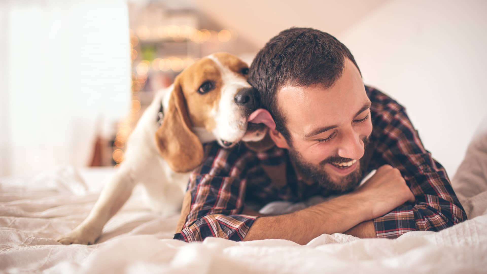 Hombre recibiendo lametón de su mascota asegurada con dkv Hombre recibiendo lametón de su mascota asegurada con dkv