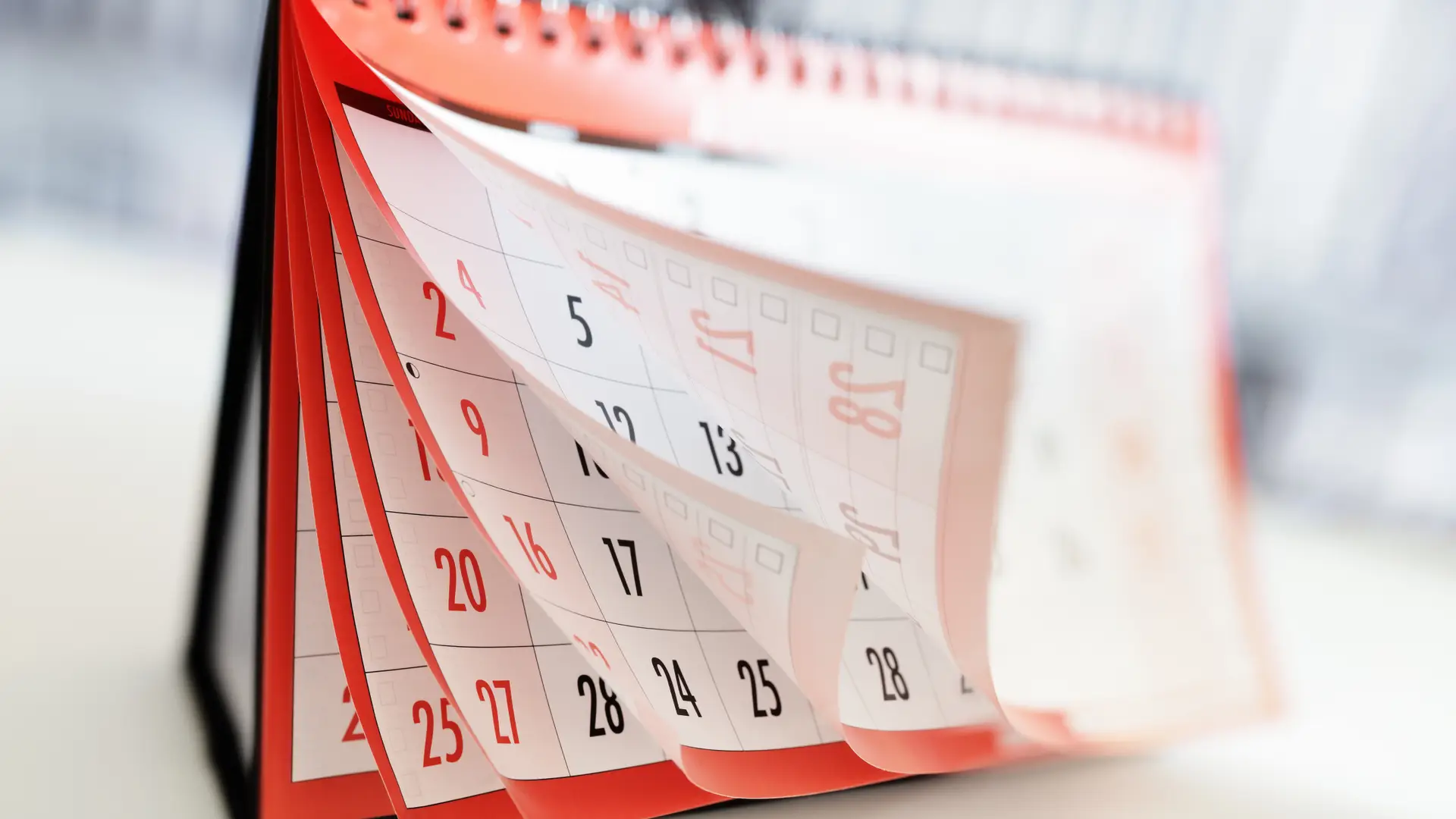 Hojas de un calendario moviéndose por el viendo simulando el tiempo de carencia que deben esperar los clientes de Mapfre para disfrutar de algún servicio Hojas de un calendario moviéndose por el viendo simulando el tiempo de carencia que deben esperar los clientes de Mapfre para disfrutar de algún servicio