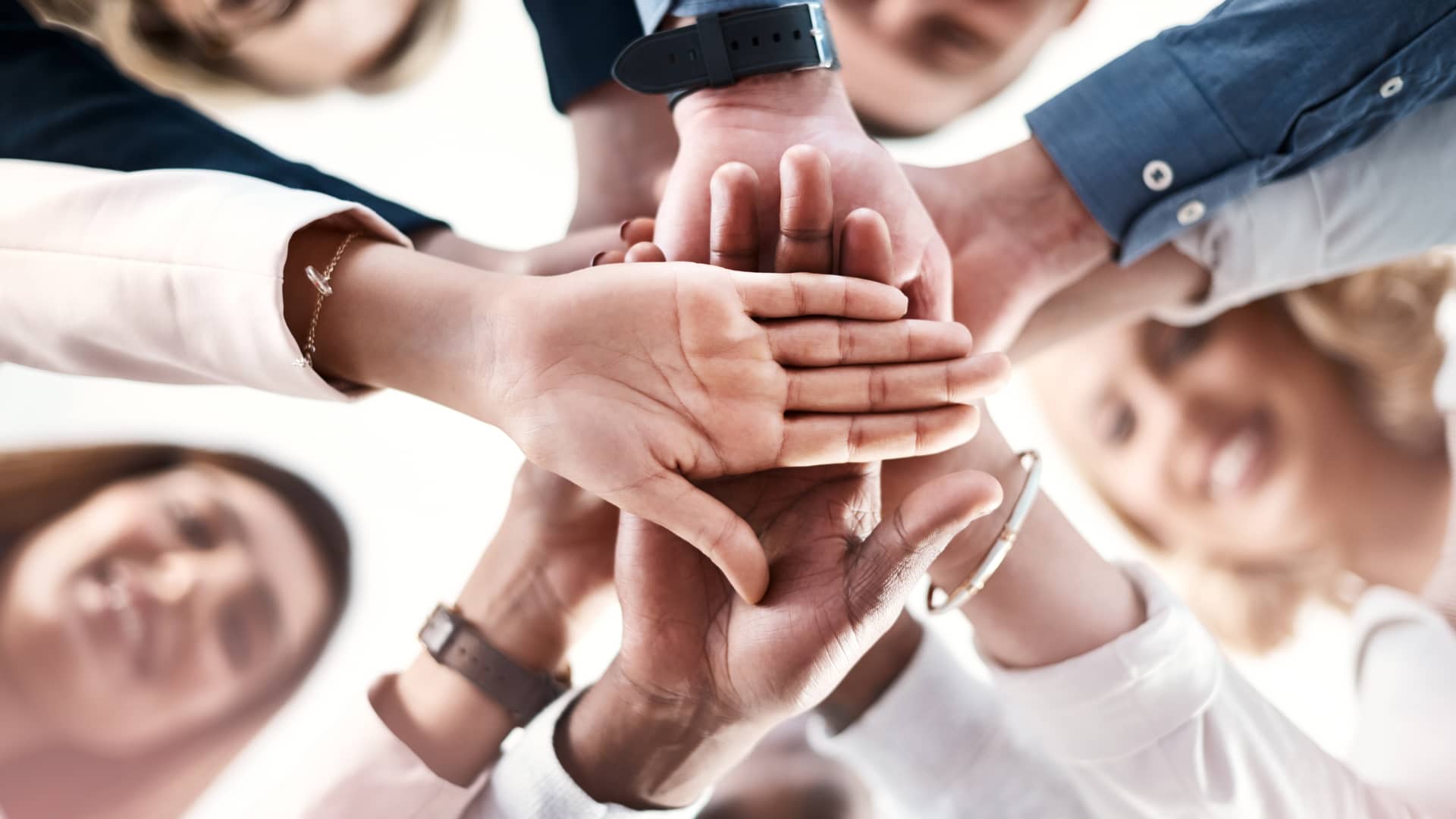 Colectivo de seguro de salud mapfre unido para trabajar en un mismo rumbo