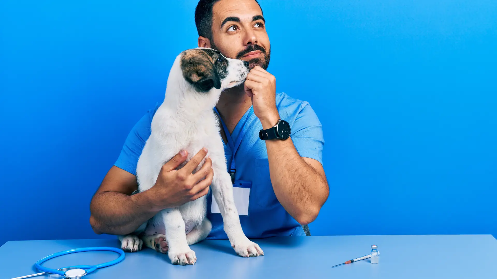 Veterinario atendiendo al perro de un cliente de Mutua Madrileña Veterinario atendiendo al perro de un cliente de Mutua Madrileña