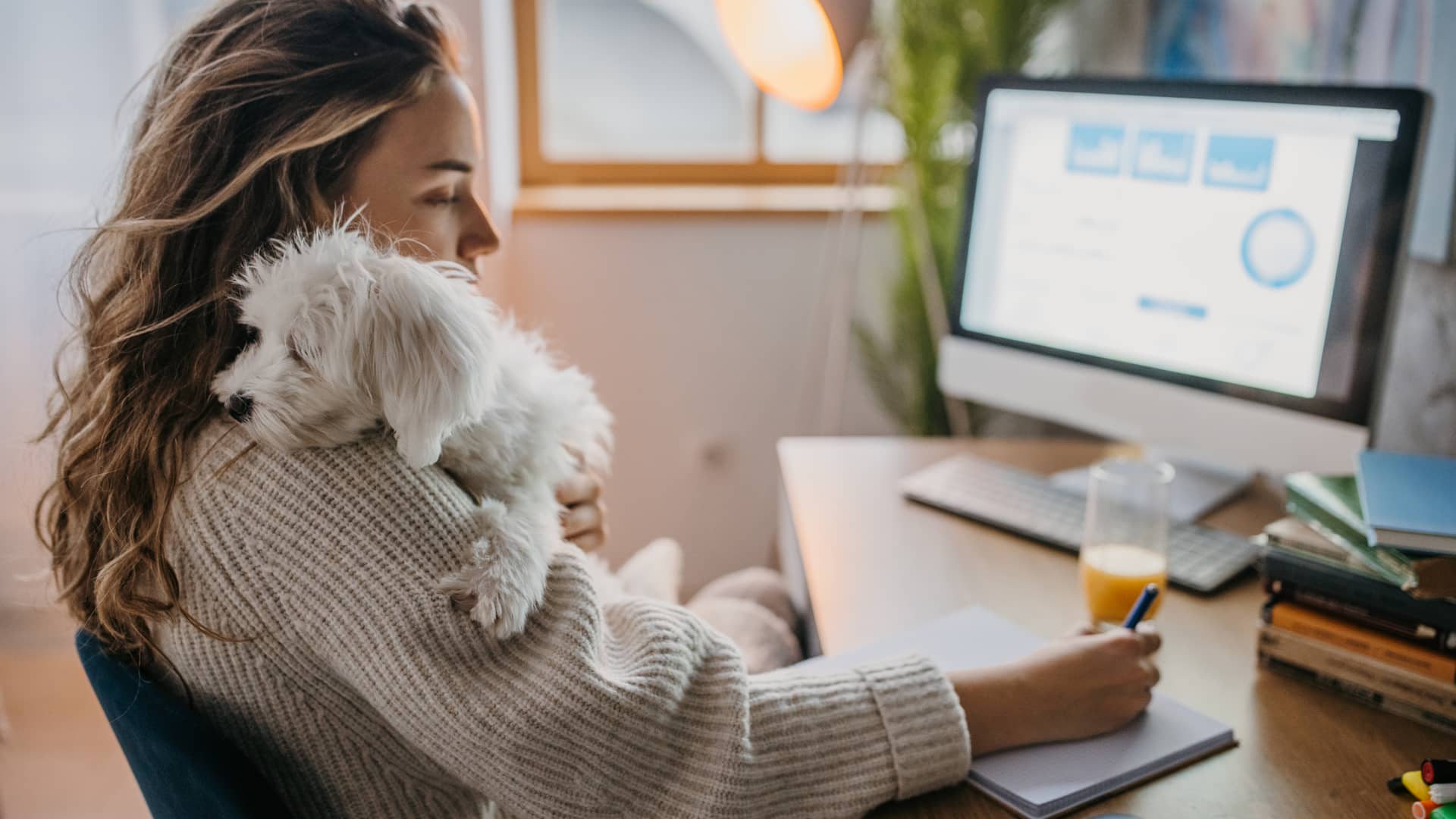 Mujer teletrabajando con su mascota asegurada con seguro de mascotas pelayo encima