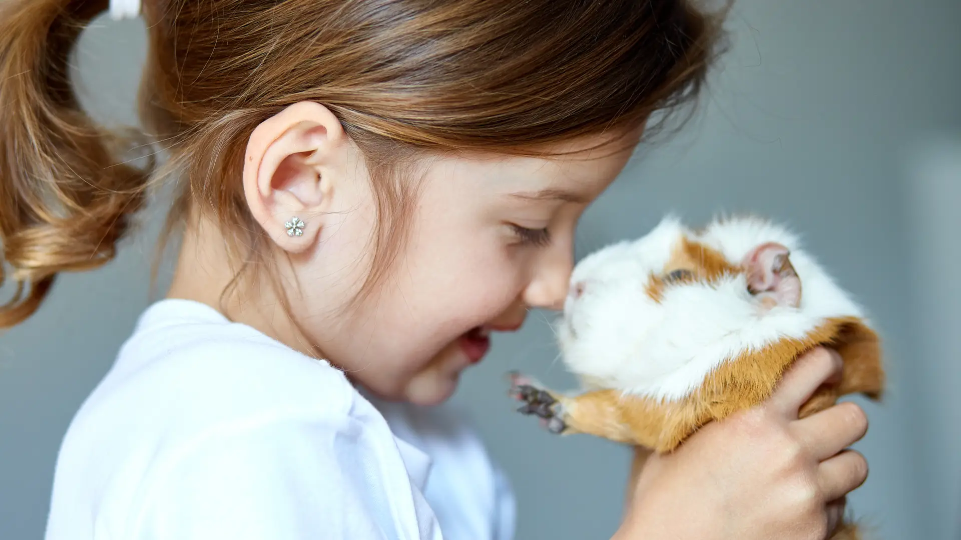 Niña jugando con su animalito asegurado con seguro de masctoas del racc Niña jugando con su animalito asegurado con seguro de masctoas del racc