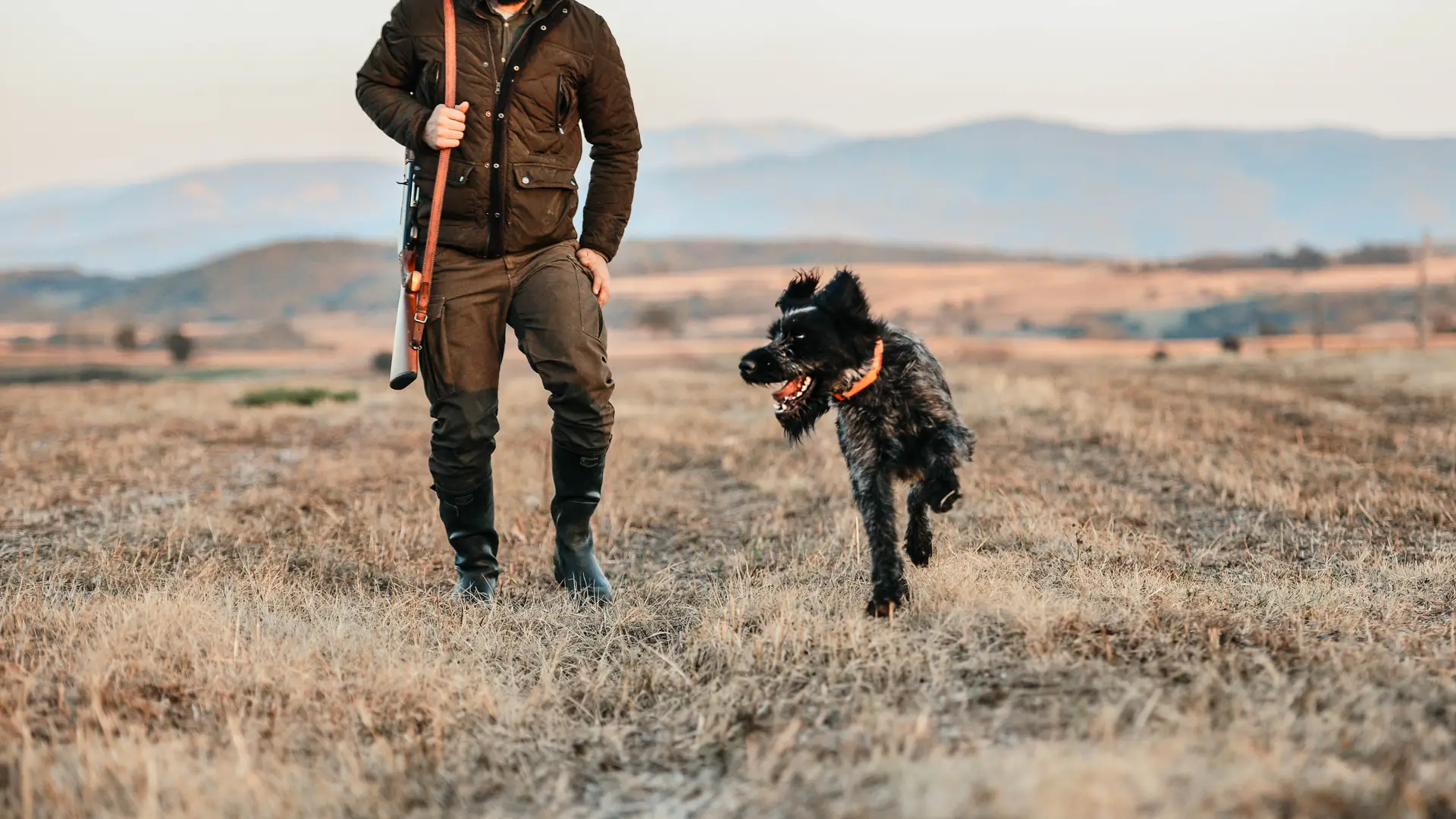 Hombre disfrutando de día de caza con su perro con seguro especial para coto Hombre disfrutando de día de caza con su perro con seguro especial para coto