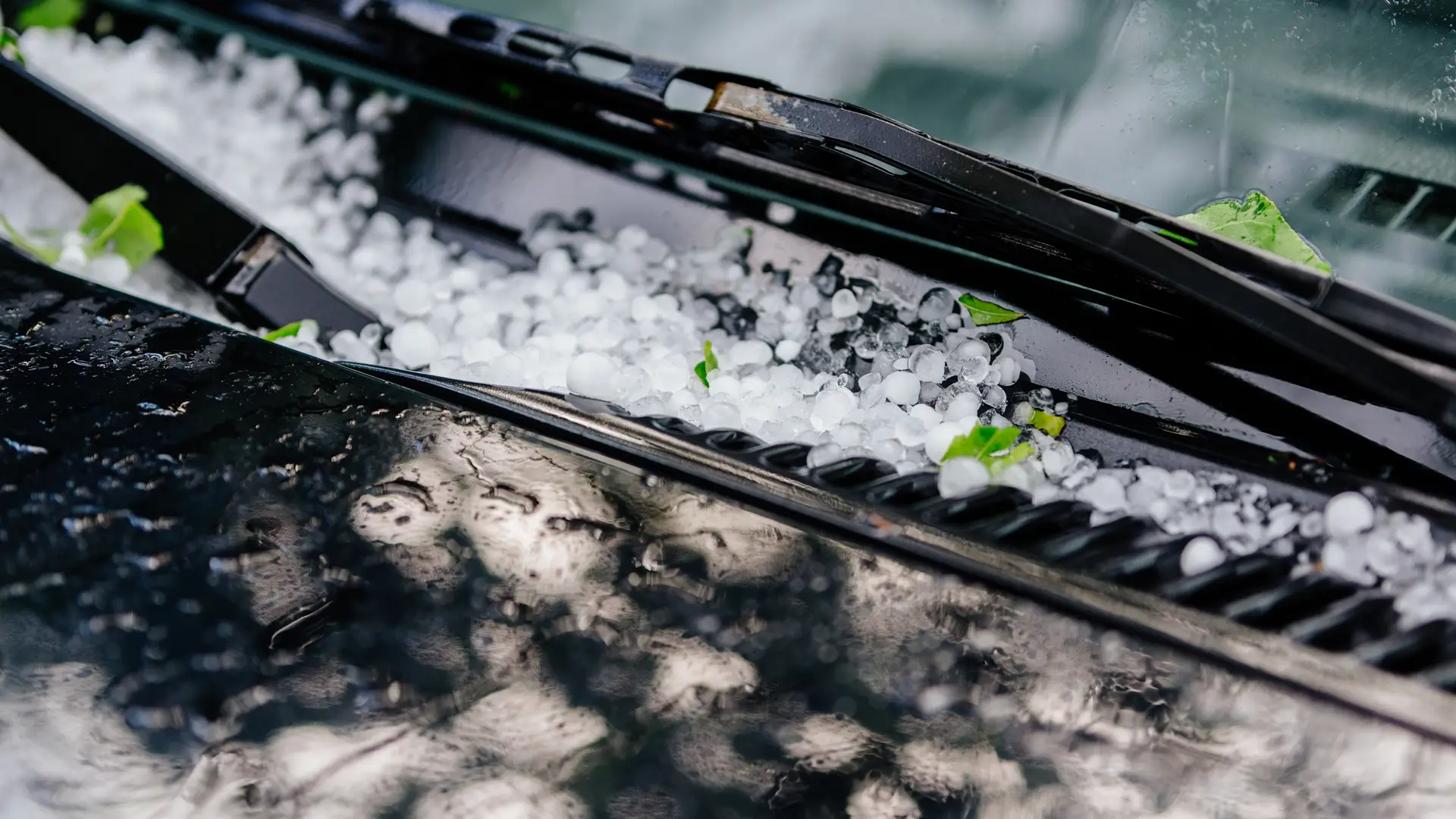 Bolas de granizo en el capó de un coche para hacer referencia los daños que ocasiona este fenomeno meteorologico