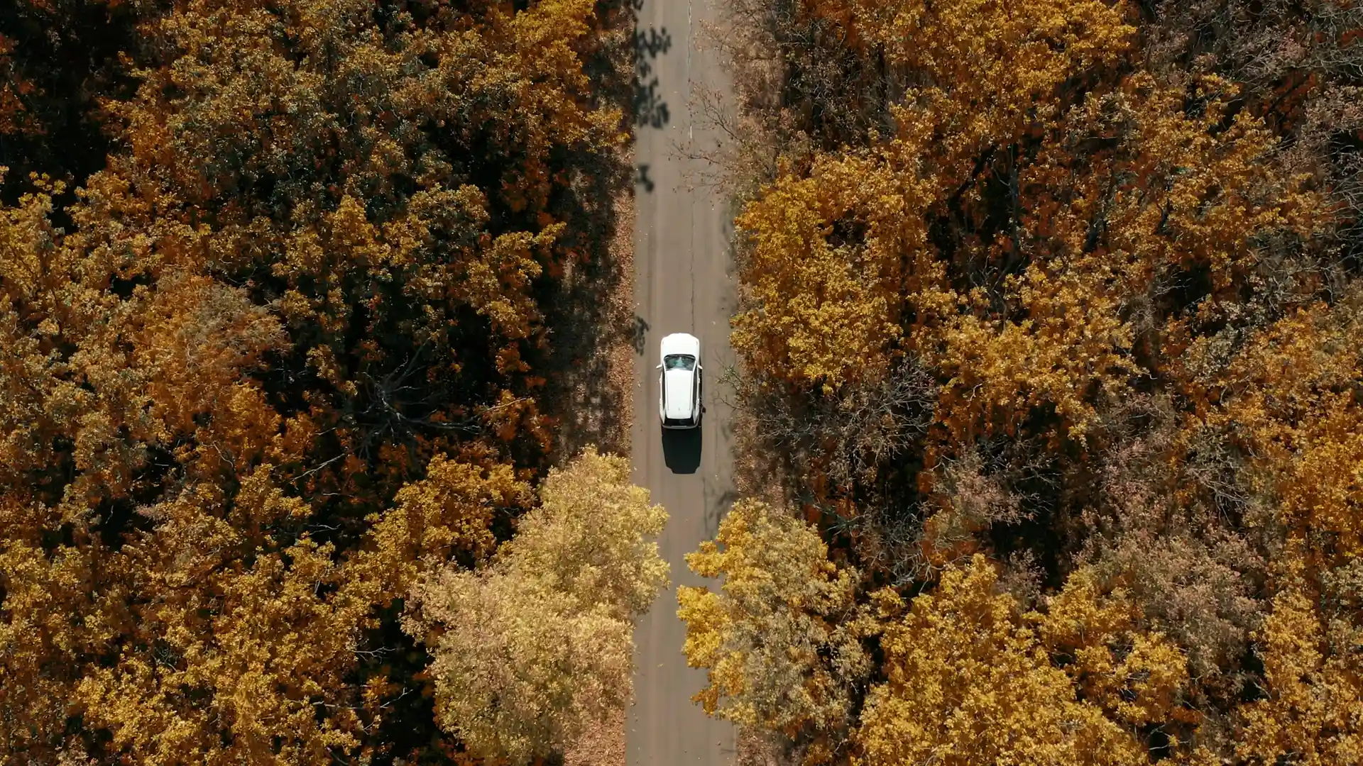 Vista aerea de un coche por una carretera en el bosque para representar el seguro de auto VTC
