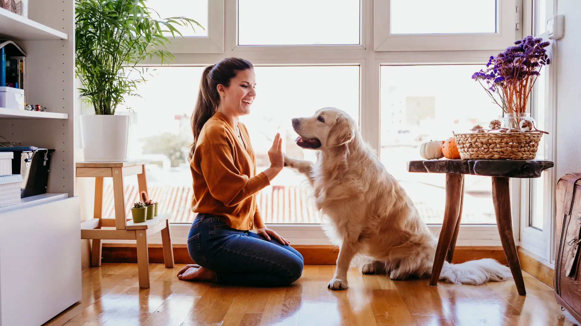 Mujer jugando con su mascota la cual tiene incluida en su seguro de hogar Mujer jugando con su mascota la cual tiene incluida en su seguro de hogar