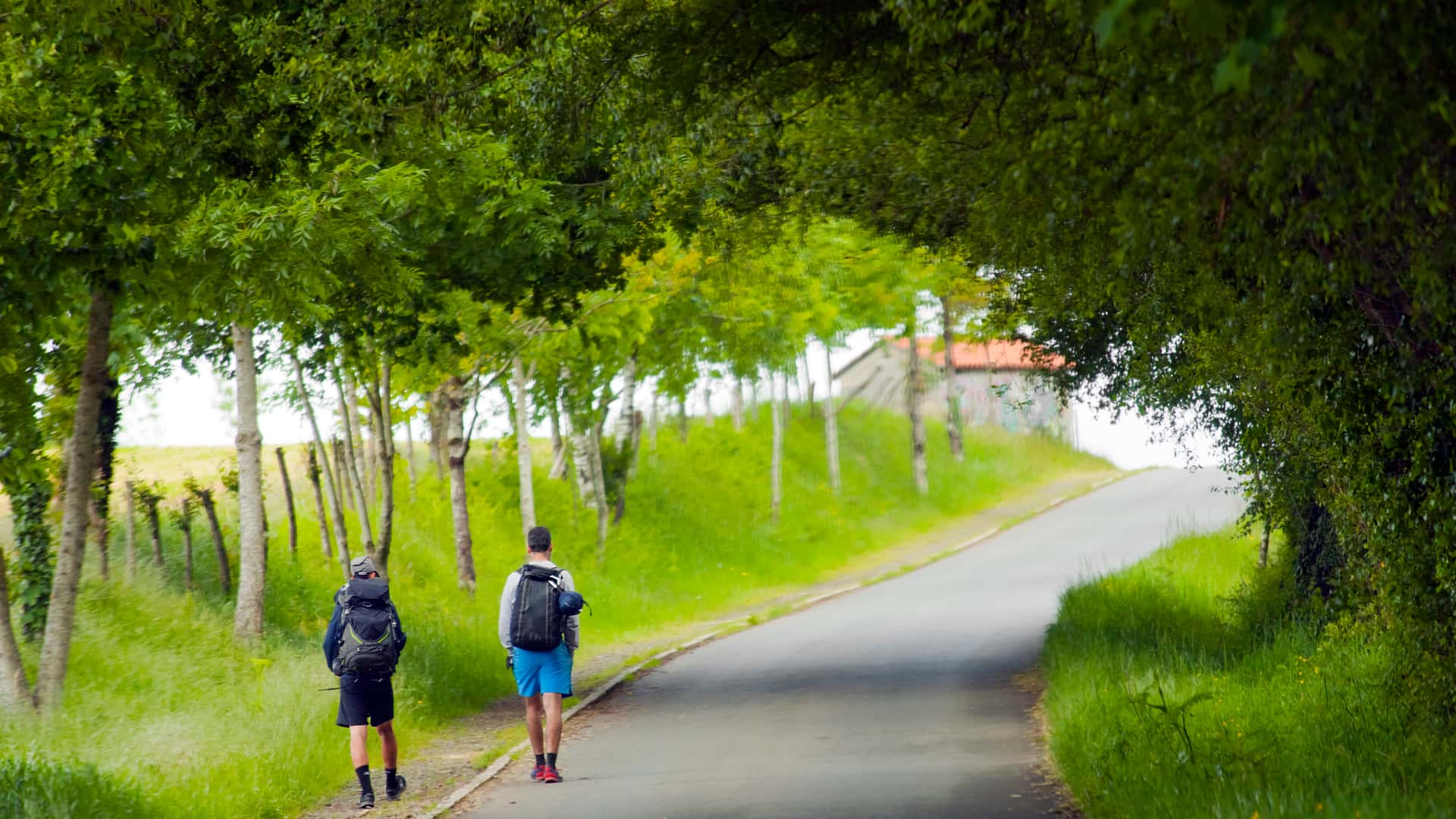 Dos peregrinos en el camino de Santiago con seguro de viaje contratado ante cualquier imprevisto Dos peregrinos en el camino de Santiago con seguro de viaje contratado ante cualquier imprevisto